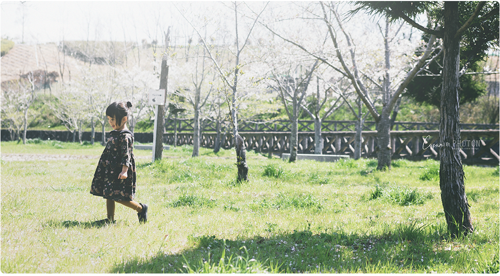 長久手フォトスタジオ『 日々、と。 』の入園記念フォト写真作品