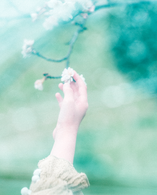 長久手 ベビー 記念日 フォトスタジオ 『 日々、と。 』について | 写真撮影・動画撮影