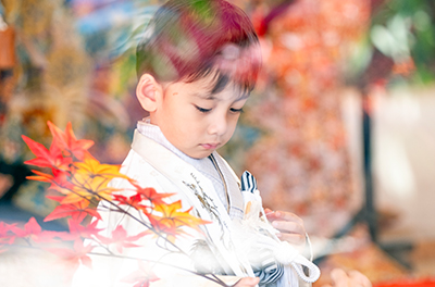 男の子の七五三撮影作品集