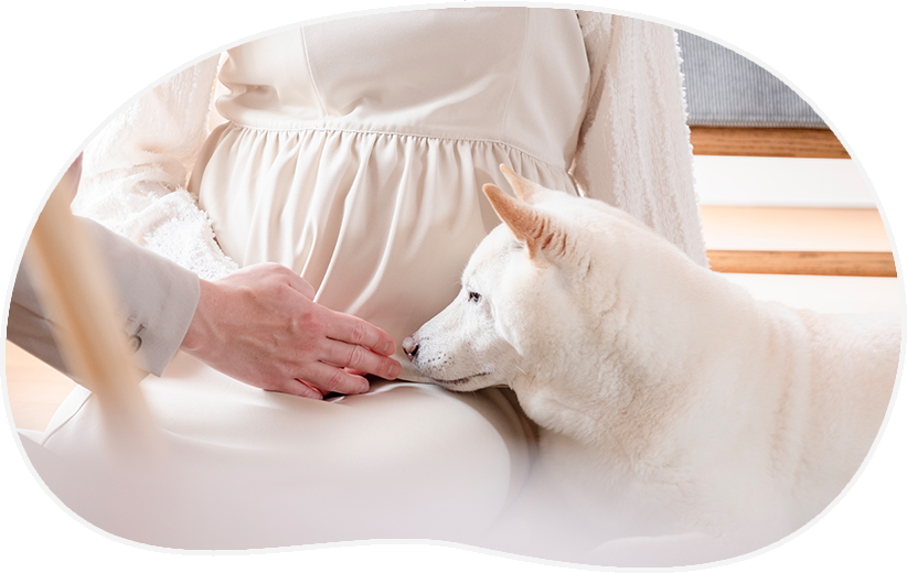 マタニティー　動画/写真 出張撮影プラン